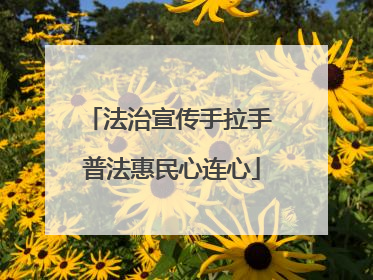 法治宣传手拉手 普法惠民心连心