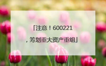 注意！600221，筹划重大资产重组