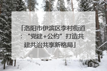 洛阳市伊滨区李村街道：“党建+公约”打造共建共治共享新格局