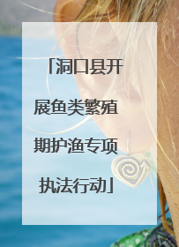 洞口县开展鱼类繁殖期护渔专项执法行动