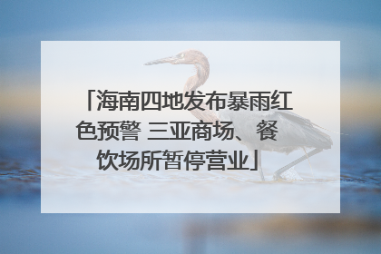 海南四地发布暴雨红色预警 三亚商场、餐饮场所暂停营业