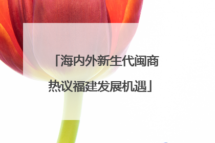 海内外新生代闽商热议福建发展机遇