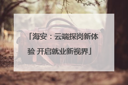 海安：云端探岗新体验 开启就业新视界