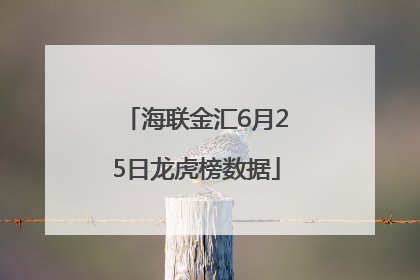 海联金汇6月25日龙虎榜数据