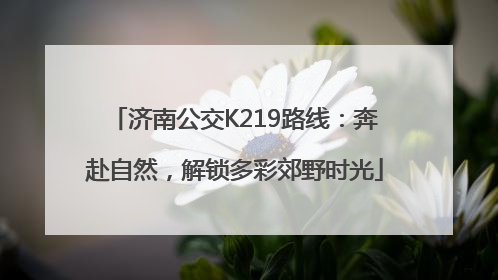 济南公交K219路线：奔赴自然，解锁多彩郊野时光
