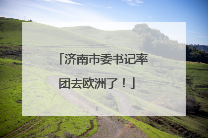 济南市委书记率团去欧洲了！