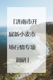 济南市开展新小麦市场行情专项调研