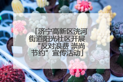济宁高新区洸河街道阳光社区开展“反对浪费 崇尚节约”宣传活动