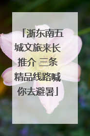 浙东南五城文旅来长推介 三条精品线路喊你去避暑