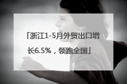 浙江1-5月外贸出口增长6.5%，领跑全国