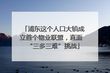 浦东这个人口大镇成立首个物业联盟，直面“三多三难”挑战