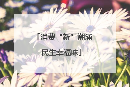 消费“新”潮涌 民生幸福味