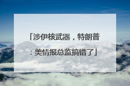 涉伊核武器，特朗普：美情报总监搞错了