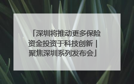 深圳将推动更多保险资金投资于科技创新｜聚焦深圳系列发布会