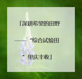 深耕希望的田野——“综合试验田”里庆丰收