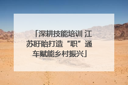 深耕技能培训 江苏盱眙打造“职”通车赋能乡村振兴