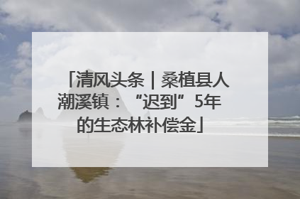 清风头条｜桑植县人潮溪镇：“迟到”5年的生态林补偿金