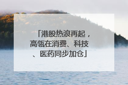 港股热浪再起，高瓴在消费、科技、医药同步加仓