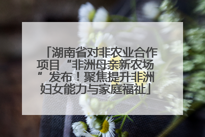 湖南省对非农业合作项目“非洲母亲新农场”发布！聚焦提升非洲妇女能力与家庭福祉
