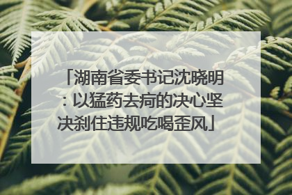湖南省委书记沈晓明：以猛药去疴的决心坚决刹住违规吃喝歪风