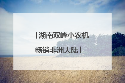 湖南双峰小农机畅销非洲大陆