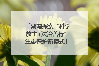 湖南探索“科学放生+法治善行”生态保护新模式