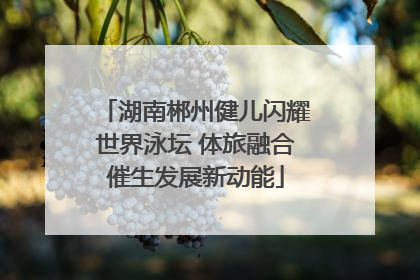 湖南郴州健儿闪耀世界泳坛 体旅融合催生发展新动能