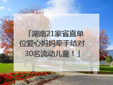湖南21家省直单位爱心妈妈牵手结对30名流动儿童！