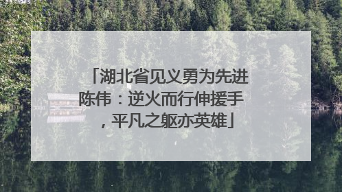 湖北省见义勇为先进陈伟：逆火而行伸援手，平凡之躯亦英雄