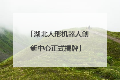 湖北人形机器人创新中心正式揭牌