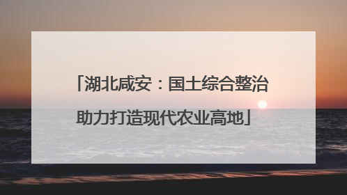 湖北咸安：国土综合整治助力打造现代农业高地