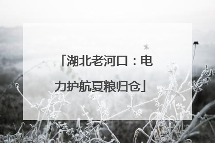 湖北老河口：电力护航夏粮归仓