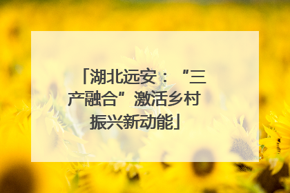湖北远安：“三产融合”激活乡村振兴新动能