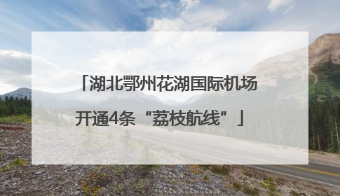 湖北鄂州花湖国际机场开通4条“荔枝航线”