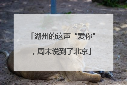 湖州的这声“爱你”，周末说到了北京