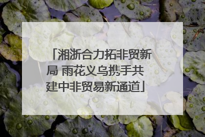 湘浙合力拓非贸新局 雨花义乌携手共建中非贸易新通道