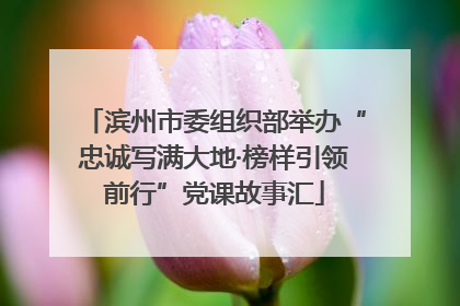 滨州市委组织部举办“忠诚写满大地·榜样引领前行”党课故事汇