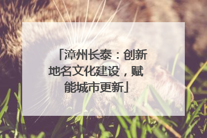 漳州长泰：创新地名文化建设，赋能城市更新