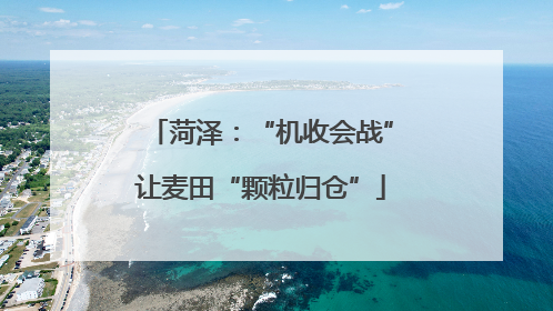 菏泽：“机收会战”让麦田“颗粒归仓”