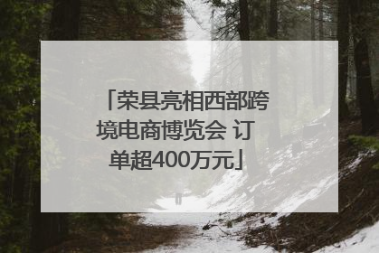 荣县亮相西部跨境电商博览会 订单超400万元