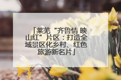 莱芜“齐鲁情 映山红”片区：打造全域景区化乡村、红色旅游新名片