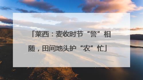莱西：麦收时节“警”相随，田间地头护“农”忙