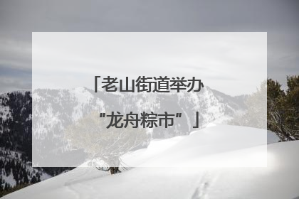 老山街道举办“龙舟粽市”