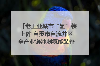 老工业城市“氢”装上阵 自贡市自流井区全产业链冲刺氢能装备制造新高地｜美好生活有“盐”味