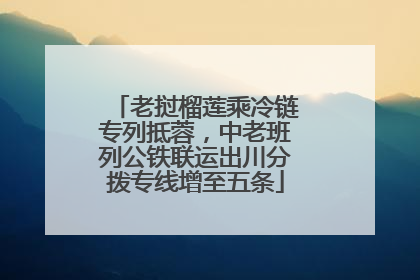老挝榴莲乘冷链专列抵蓉，中老班列公铁联运出川分拨专线增至五条