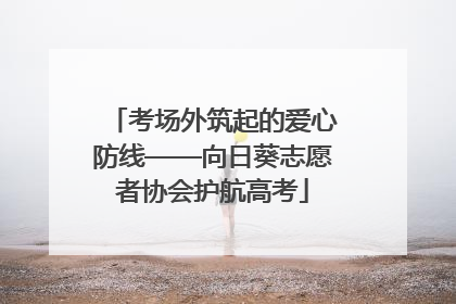 考场外筑起的爱心防线——向日葵志愿者协会护航高考