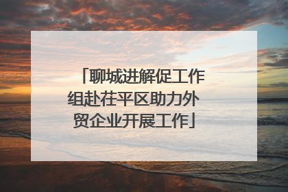 聊城进解促工作组赴茌平区助力外贸企业开展工作