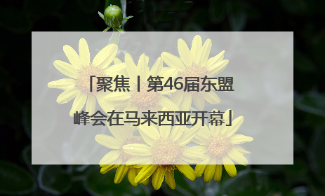 聚焦丨第46届东盟峰会在马来西亚开幕