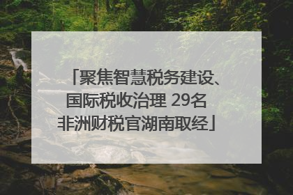 聚焦智慧税务建设、国际税收治理 29名非洲财税官湖南取经