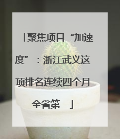 聚焦项目“加速度”：浙江武义这项排名连续四个月全省第一
